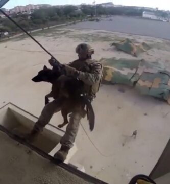 perro militar